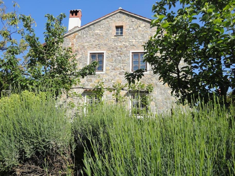 A Lovely House In Vipava Valley Exterior photo